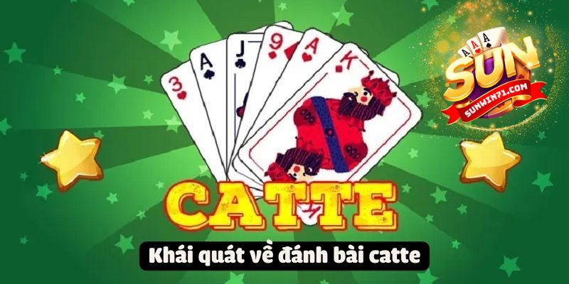 Chơi game bài Catte trên nhà cái Sunwin có những lợi thế gì?